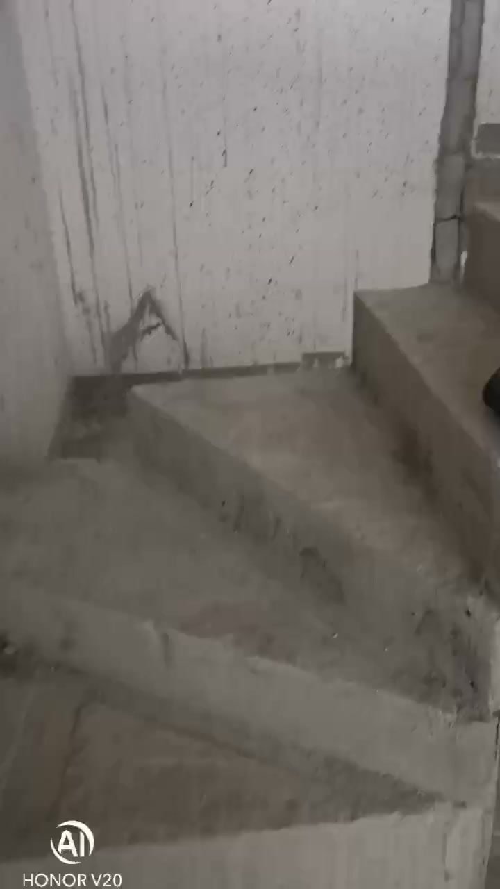 三棵树马上住焕新